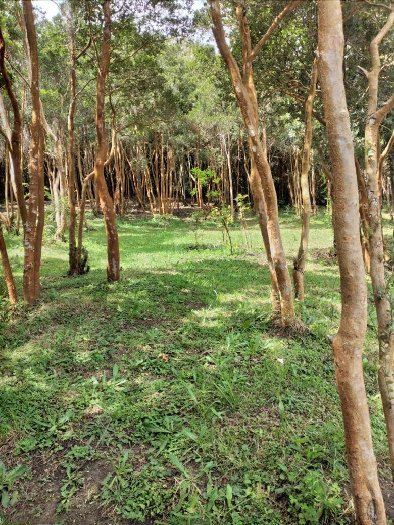 Casa de férias Bosque Arrayan Cochamo